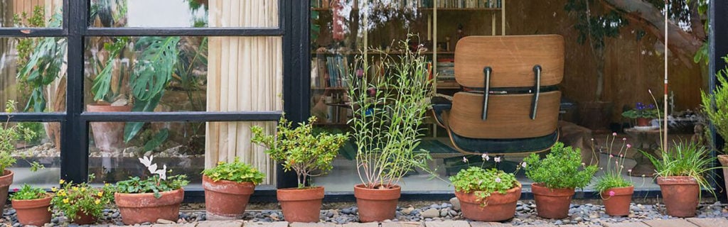 Flower pots along a sidewalk of windows to a house with an Eames chair inside
